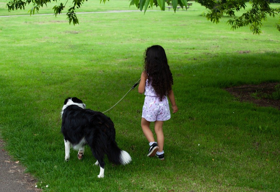 Child Dog Walking Child With Dog Child Dog Walking