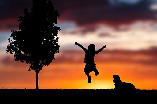 silhouette of a boy with a dog