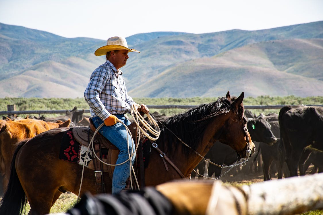 Where should a Cowboy Hat Be Worn on the Head